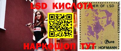 гашик Будённовск