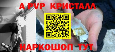гашик Будённовск