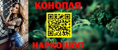 гашик Будённовск