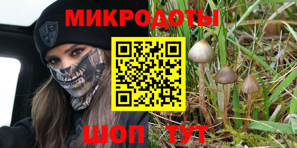 Галлюциногенные грибы Magic Shrooms Углич