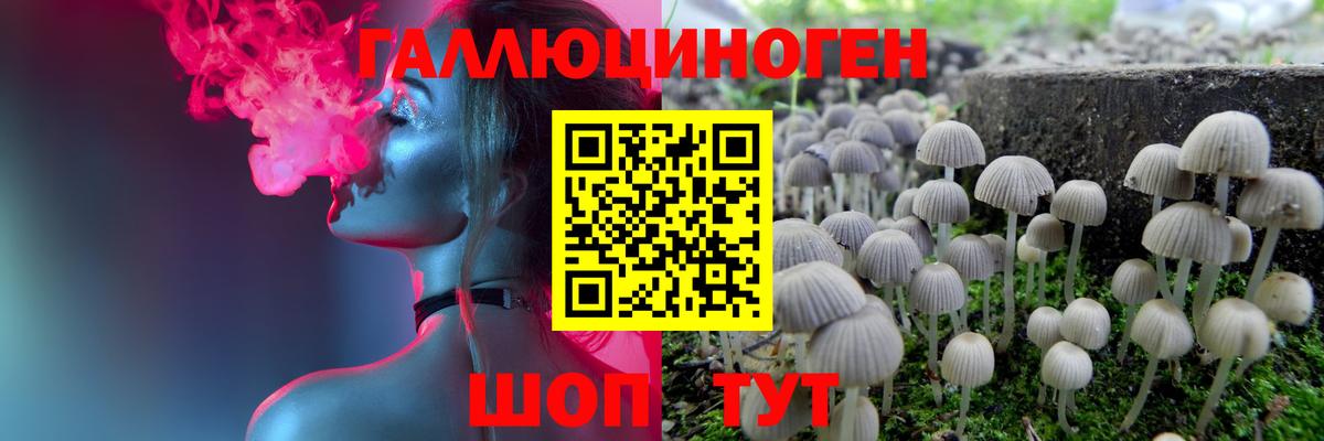 Псилоцибиновые грибы MAGIC MUSHROOMS  Вход с VPN  Углич 